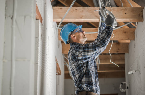 Best Ceiling Fan Installation Electrician  in Bismarck, MO